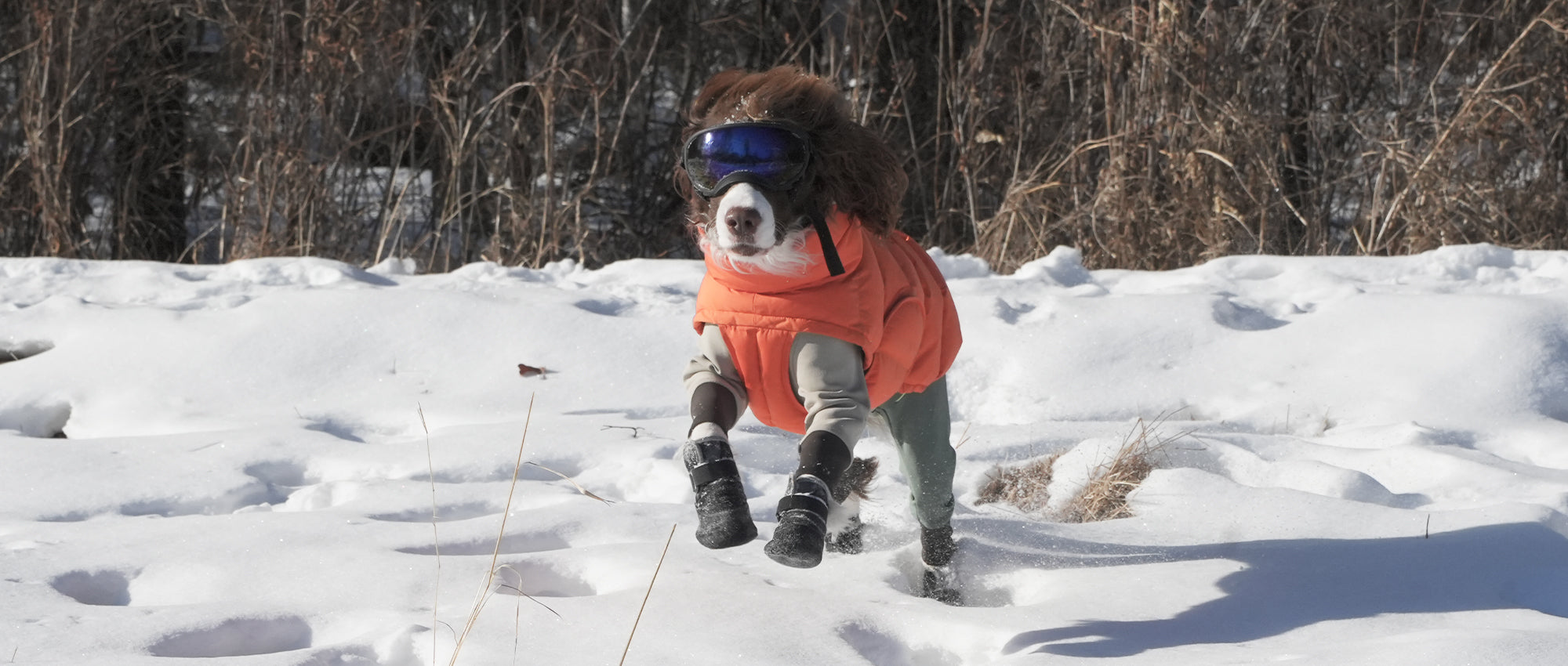 Waterproof Anti-Slip Dog Boots (Black) | Pawpawlemon