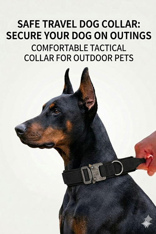 Heavy-Duty Tactical Dog Collar with Handle (Black) Canada | Pawpawlemon