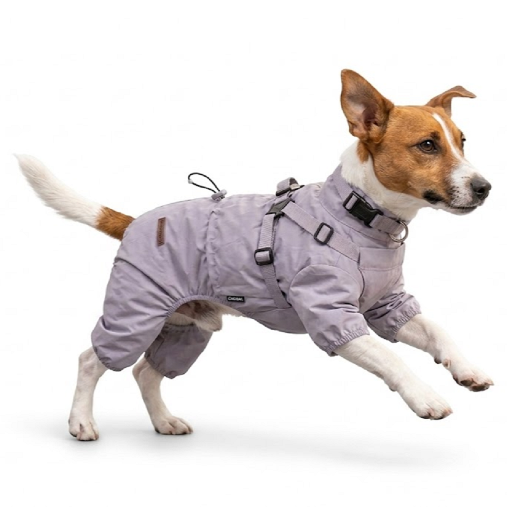 Full-Body Dog Raincoat with Harness Access (Purple) | Pawpawlemon