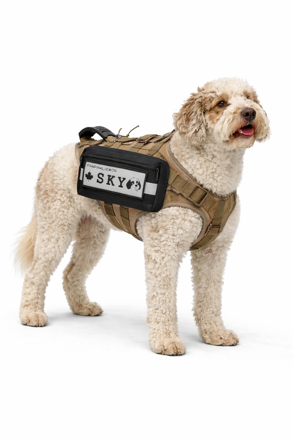 MOLLE Dog Harness Pouch — Tactical Storage Bag | Pawpawlemon