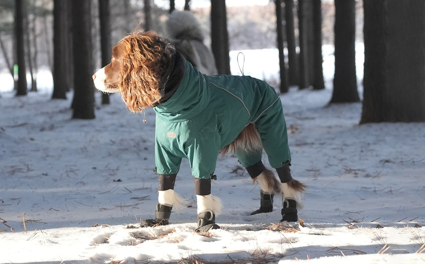 Waterproof Anti-Slip Dog Boots (Black) | Pawpawlemon