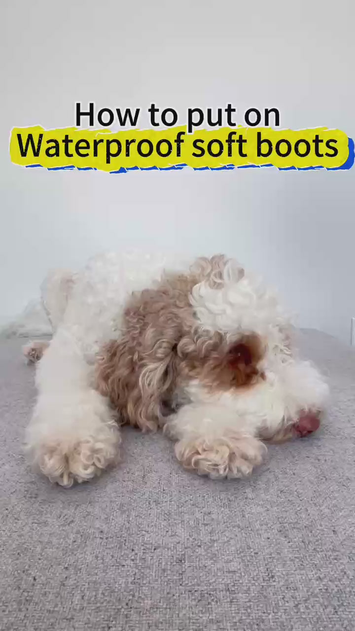Waterproof Anti-Slip Dog Boots (Black) - Set of 4 | Pawpawlemon