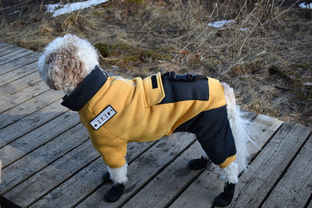 Custom Velcro Patch for Dog Harness — Personalized Dog ID | Pawpawlemon